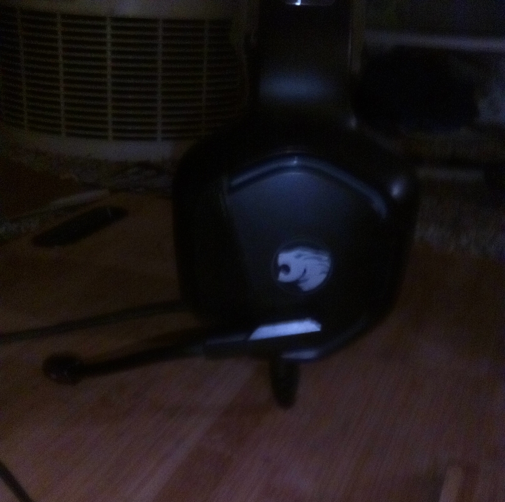 Gamer headphones w/mic